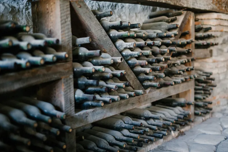 Cellar-Blind: How Reverence for Crypto's Early Era Is Quietly Draining Modern Portfolio Performance
