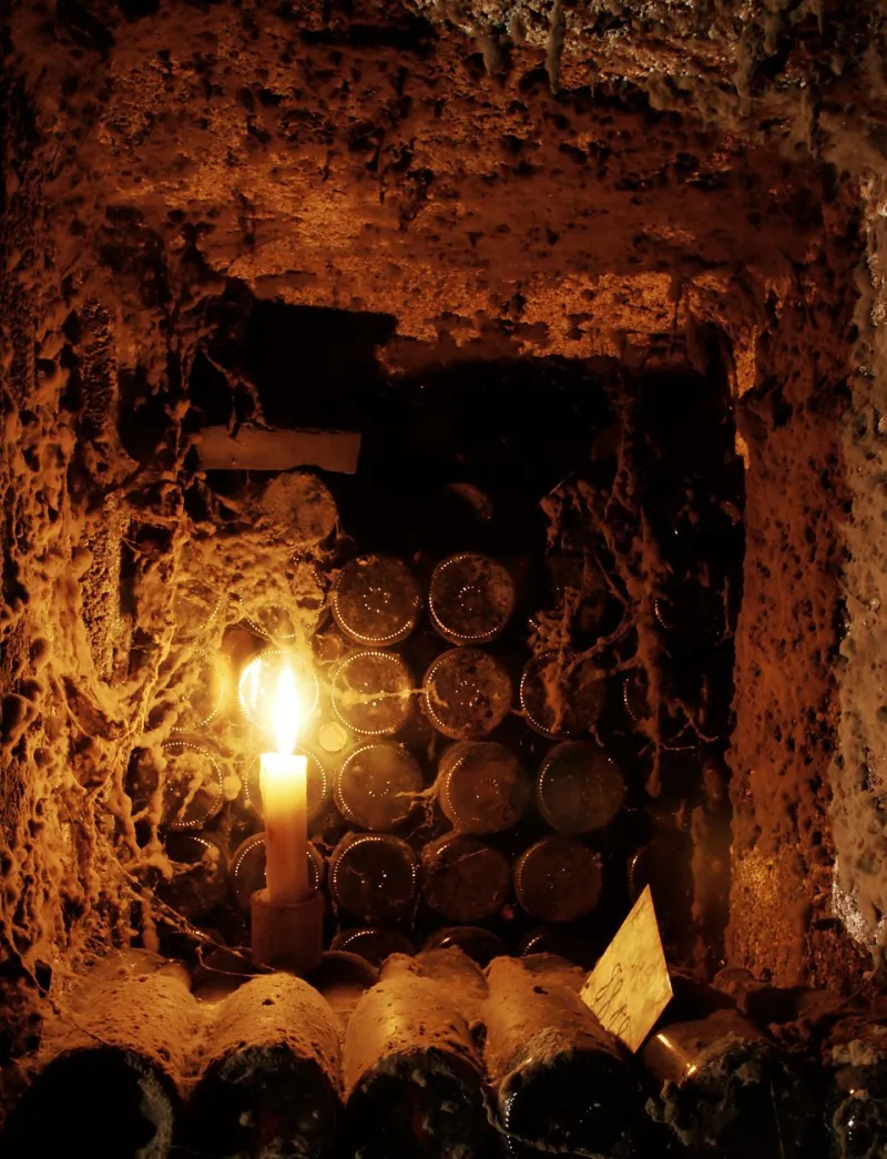 When the Grand Cru Loses Its Luster: Recognizing the Slow Decline of Once-Dominant Crypto Assets